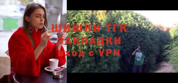 дмт Карпинск