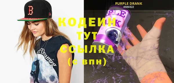 дмт Карпинск