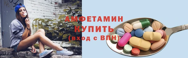 дмт Карпинск