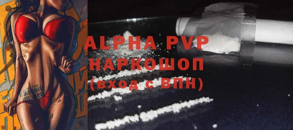 стаф Инта