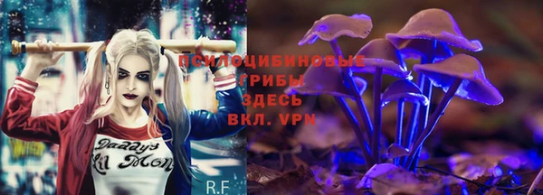 ALPHA PVP Касимов